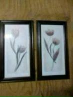 2 schilderijen in sepia bloemen achter glas, Minder dan 50 cm, Gebruikt, Ophalen of Verzenden, 50 tot 75 cm