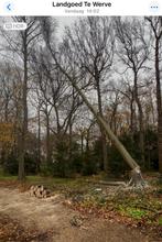 Brandhout Eik Beuk vanaf 80 euro per kuub bij 5 kuub, Tuin en Terras, Haardhout, Minder dan 3 m³, Ophalen