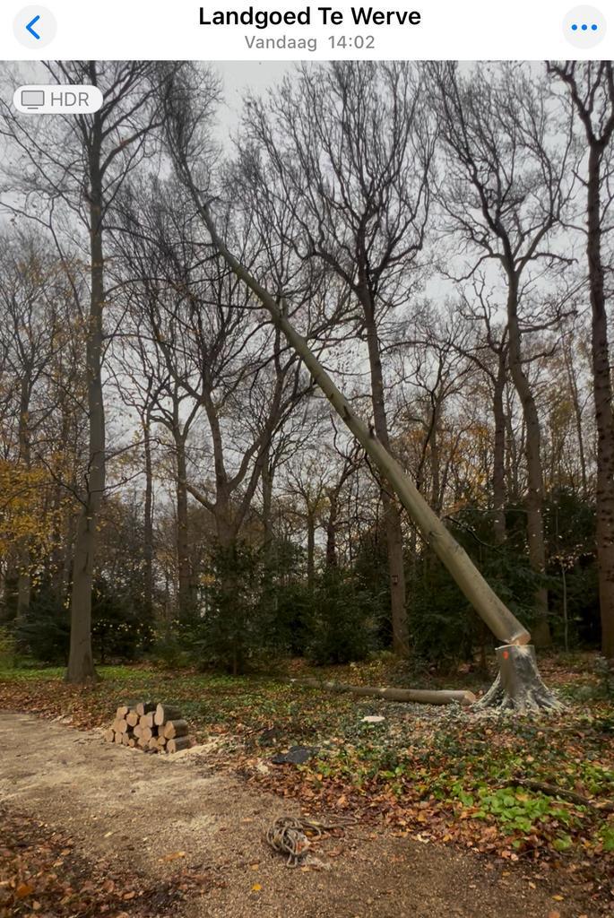 Brandhout Eik Beuk vanaf 80 euro per kuub bij 5 kuub, Tuin en Terras, Haardhout, Minder dan 3 m³, Ophalen