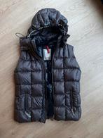 Bogner Fire+Ice Bodywarmer maat S, Bogner, Ophalen of Verzenden, Nieuw, Jack