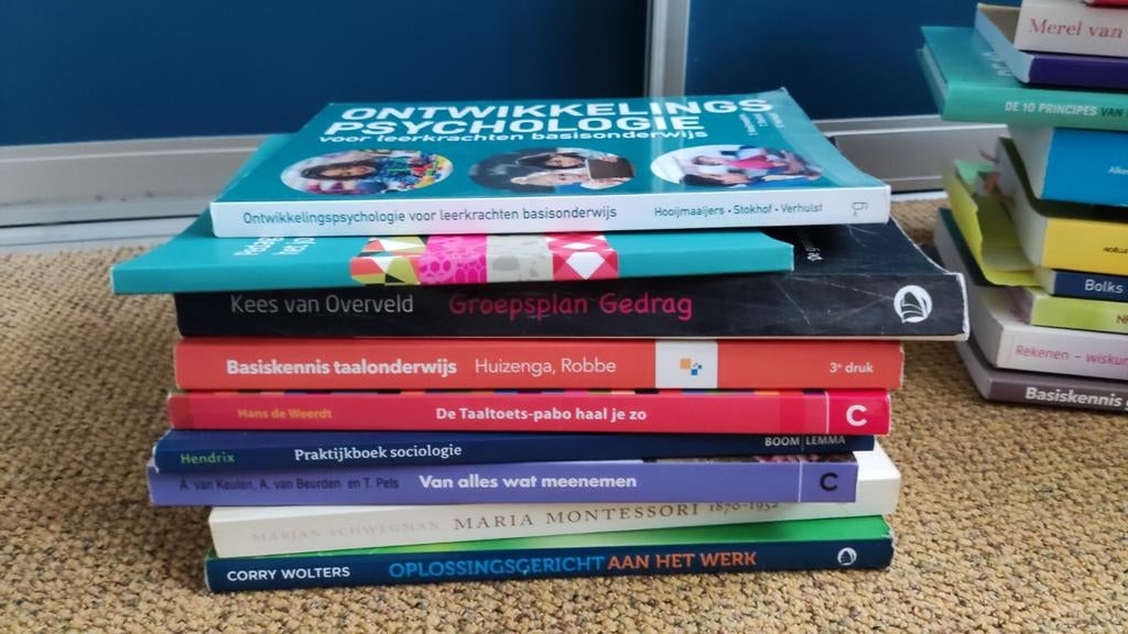 Pabo boeken, Boeken, Ophalen of Verzenden, Zo goed als nieuw
