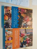 Pedagogisch kader voor kindercentta, Boeken, Ophalen, Beta, Zo goed als nieuw, MBO