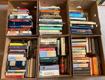 Partij boeken - 6 dozen beschikbaar voor biedingen