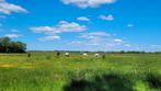 1 plek vrij op privé pensionstal Soest, Weidegang, 1 paard of pony