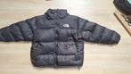 The North Face winterjas, Kleding | Heren, Jassen | Winter, Ophalen of Verzenden, Nieuw