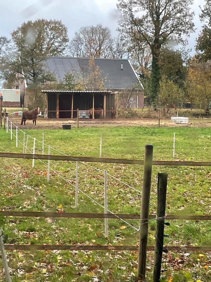 Container stal, 2.5 bij 6 meter, Dieren en Toebehoren, Stalling en Weidegang, 2 of 3 paarden of pony's