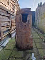 Broedblok, Meerdere dieren, Papegaai