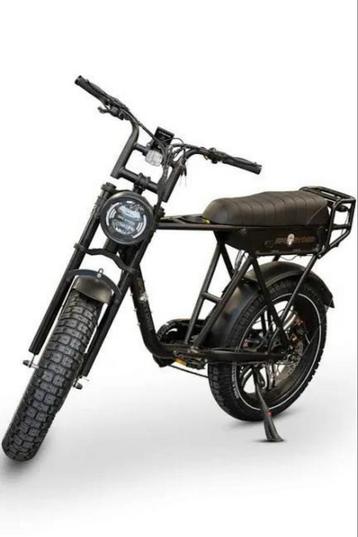 ApeRyder E-Bike  La Souris - Zo goed als nieuw! beschikbaar voor biedingen