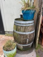 Wijnvat te koop, Tuin en Terras, Regentonnen, Ophalen of Verzenden