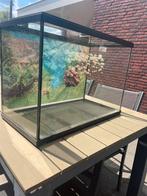 Vis aquarium, Dieren en Toebehoren, Vissen | Aquaria en Toebehoren, Ophalen, Zo goed als nieuw