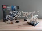 LEGO 21320 Dinosaur Fossils, Ophalen, Zo goed als nieuw