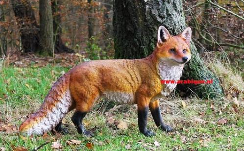 Vos  Fazant  Haas  Eland  Eekhoorn  Wolf   wildzwijn  .Enz., Tuin en Terras, Tuinbeelden, Nieuw, Dierenbeeld, Kunststof, Verzenden