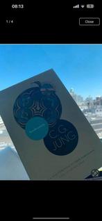 Carl Jung - Synchronicity, Boeken, Psychologie, Ophalen of Verzenden