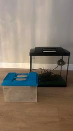 Vissenkom met licht en pompje, Dieren en Toebehoren, Vissen | Aquaria en Toebehoren, Ophalen, Gebruikt, Leeg aquarium