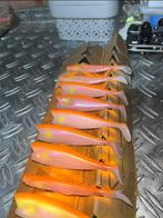 Illex nitro shad bodys 120mm veel kleuren, Watersport en Boten, Ophalen of Verzenden, Zo goed als nieuw, Overige typen