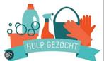 Gezocht huishoudelijke hulp voor opgeruimd en schoon huis, Overige niveaus, Starter, Overige vormen