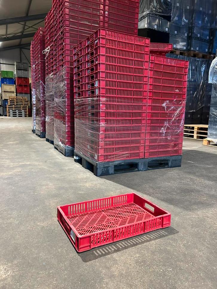 kratten 60x40x9 cm geperforeerd gebruikte AGF krat, Doe-het-zelf en Verbouw, Kratten en Dozen, Gebruikt, Krat, Minder dan 50 cm