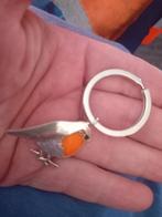 Mooie vogel sleurelhanger, Ophalen of Verzenden, Nieuw, Dier of Natuur