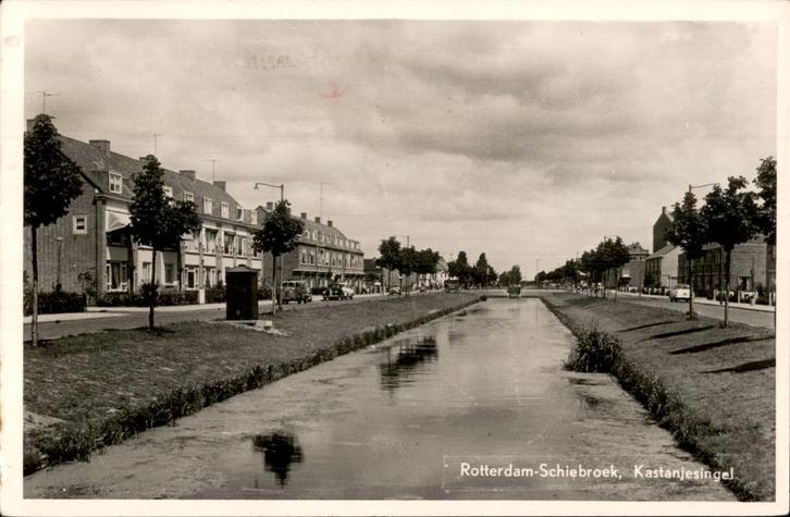 Rotterdam Schiebroek Kanstanjesingel st 1956 uitg Bokhorst, Verzamelen, Ansichtkaarten | Nederland, Limburg, 1940 tot 1960, Verzenden
