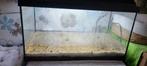 Aquarium, Ophalen, Zo goed als nieuw, Leeg aquarium