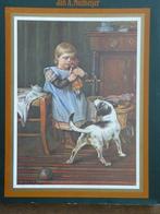 De wereld van Cornelis Jetses. Levensverhaal., Boeken, Ophalen of Verzenden, Zo goed als nieuw