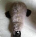 Knuffel eend lengte 75 cm, Ophalen of Verzenden, Zo goed als nieuw, Eend