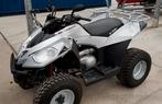 E-Ton VXL-250 cc, Fietsen en Brommers, Minibikes, Midibikes en Pitbikes, Ophalen, Zo goed als nieuw, Overige typen
