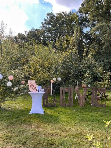 Bruiloft Decoratie: LOVE Letters, Lintjes-& lampionslinger beschikbaar voor biedingen