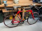 Reus Racefiets - Campagnolo/Shimano - Maat 55, 28 inch, Gebruikt, 10 tot 15 versnellingen, Heren