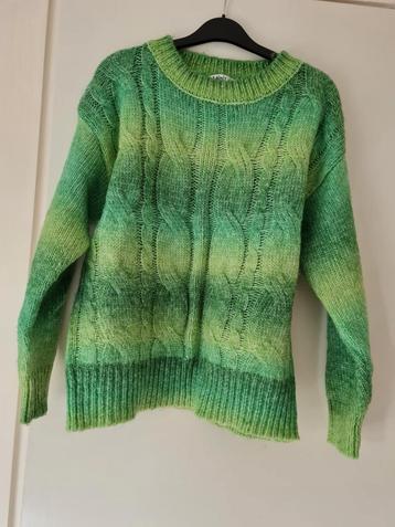 Groene Lajoly Trui Maat L/XL beschikbaar voor biedingen