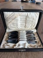 6 antieke zilveren theelepels in luxe cassette, Antiek en Kunst, Ophalen of Verzenden