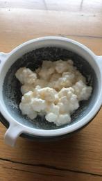 Melk kefir korrels, Ophalen