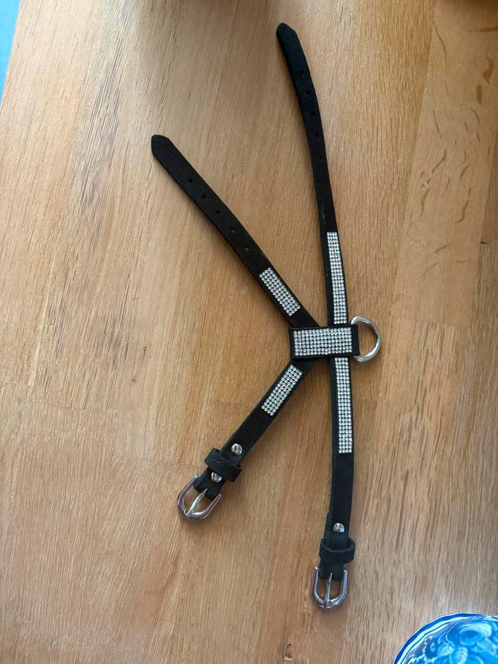 Puppy tuigje met bling steentjes, Dieren en Toebehoren, Hondenhalsbanden en Penningen, Nieuw, Ophalen of Verzenden