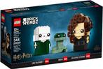 Lego Harry Potter 40496 Voldemort, Nagini, Ophalen of Verzenden, Nieuw, Complete set, Lego