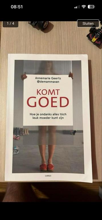 Komt Goed - Annemarie Geerts (@demammavan) beschikbaar voor biedingen