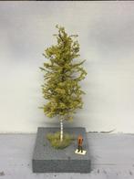 Loofbomen berk, Overige merken, Natuur, Gelijkstroom of Wisselstroom, Nieuw