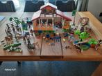 PLAYMOBIL PAARDEN MANEGE MET EXTRA SETS   45 EURO.., Ophalen of Verzenden, Zo goed als nieuw