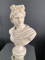 Apollo buste borstbeeld grieks romeins god mythologie 32cm, Ophalen of Verzenden, Zo goed als nieuw
