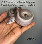 0.1 Cinnamon Pastel Mojave Pinstripe Microscale NK25, Dieren en Toebehoren