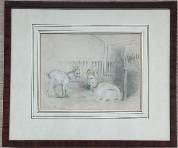 Jan Striening (1827-1903) - Bokken in stal (tekening) beschikbaar voor biedingen