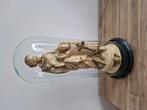 Antieke glazen stolp met houten plateau, Antiek en Kunst, Ophalen