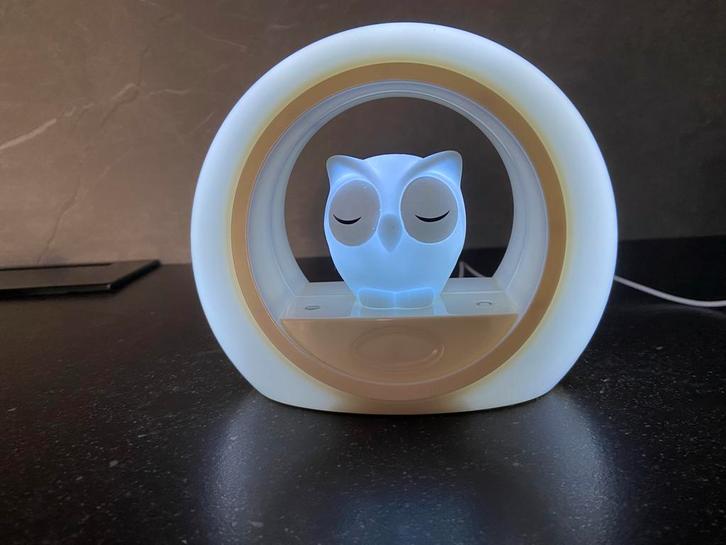 Uil Nachtlampje - Sfeervolle Verlichting, Huis en Inrichting, Lampen | Spots, Zo goed als nieuw, Plafondspot of Wandspot, Kunststof