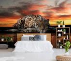 Fotobehang / Behang - Luipaard - Cheetah - Panter, Verzenden, Oranje, Minder dan 10 m², Info@fotobehangkoning.nl