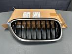 Grijze nierengrille rechts BMW G30/G31, -, -, Nieuw, Ophalen of Verzenden