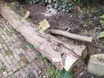 Boomstam (1 stuk, te gebruiken voor vuurkorf of haardhout), 3 tot 6 m³, Ophalen