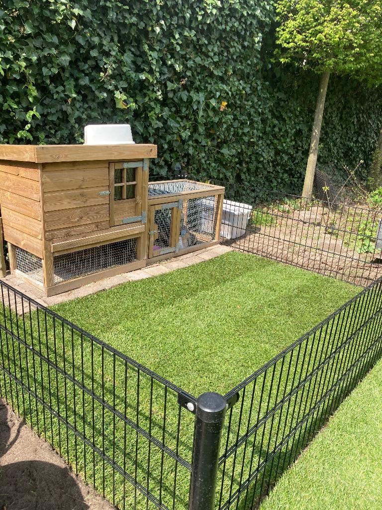 Konijnenren, Dieren en Toebehoren, Ophalen, 90 cm of meer, Konijn, Ren