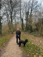 Kleinschalige opvang voor uw hond, Diensten en Vakmensen, Dieren | Honden | Verzorging, Oppas en Les, Pension of Dagopvang