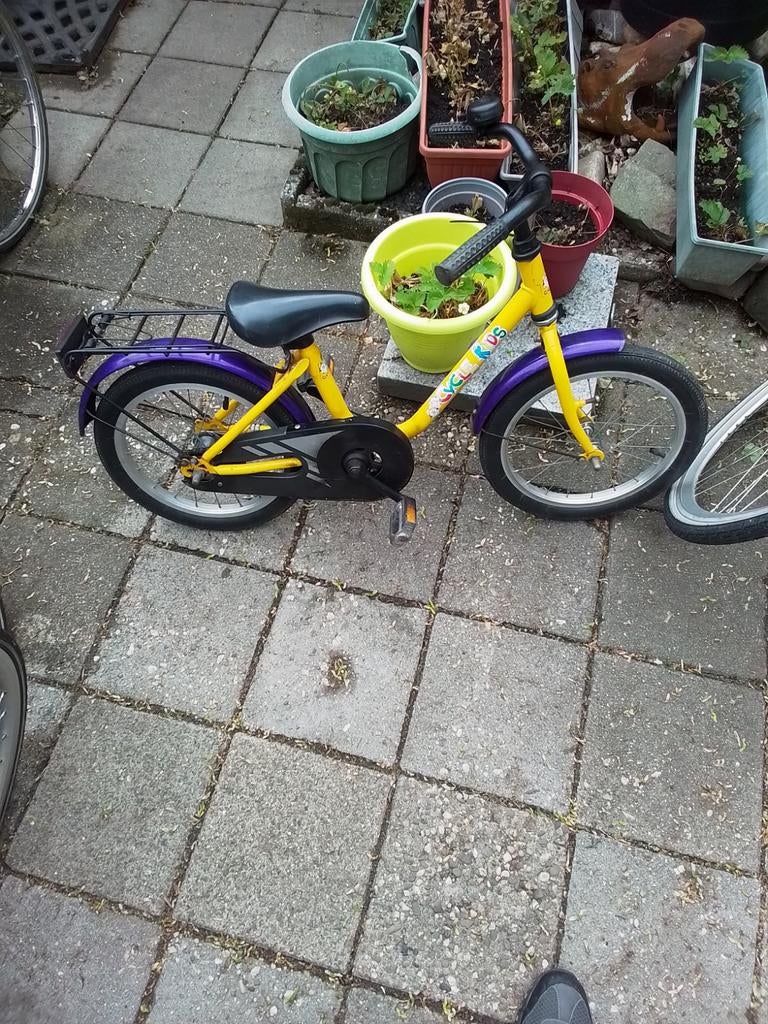 Cyclekids Kinderfiets, Fietsen en Brommers, Ophalen, Gebruikt, Terugtraprem, 16 tot 20 inch