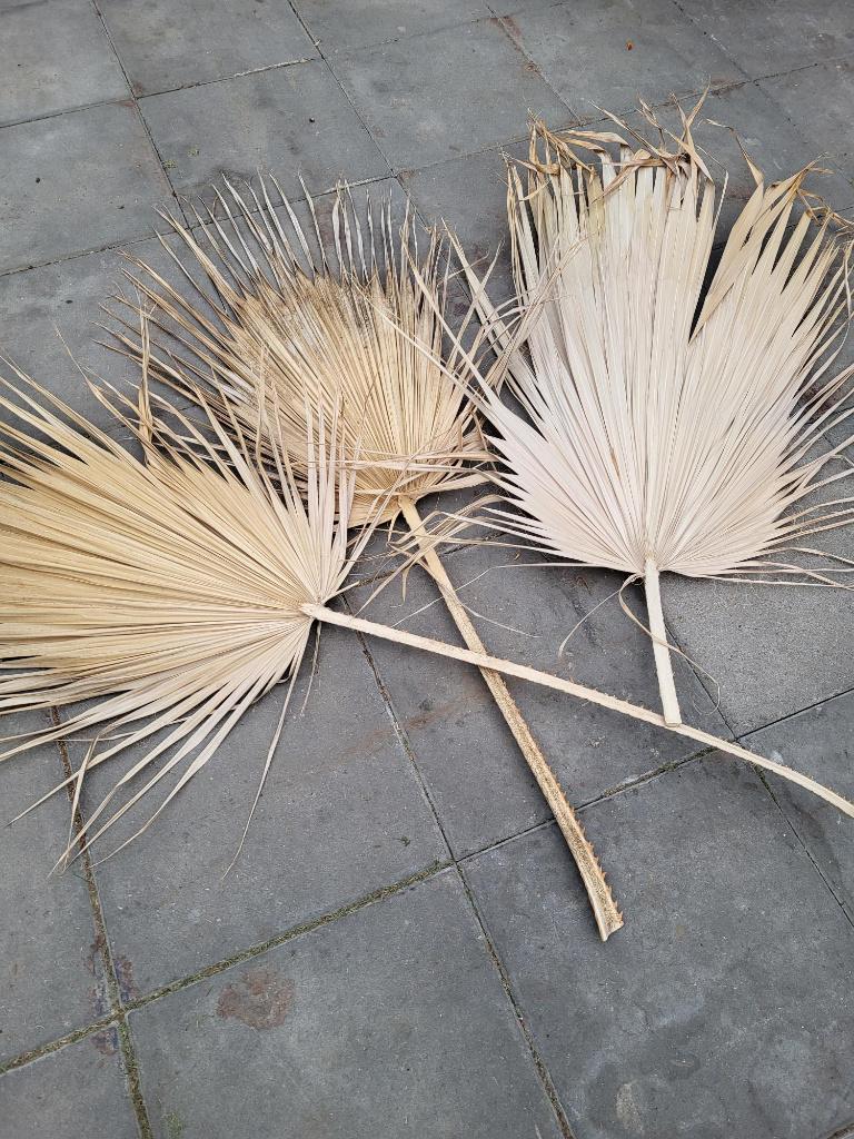 Palmblad, Huis en Inrichting, Ophalen, Gebruikt