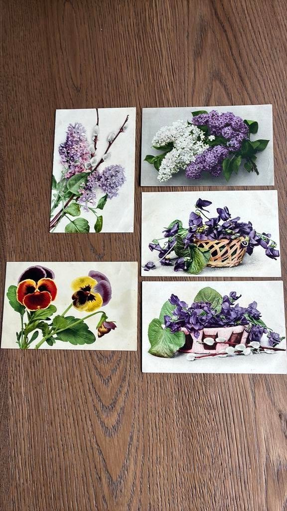5 mooie kaarten bloemen.1905. Hyacinten,viool, katjes, Verzamelen, Ansichtkaarten | Themakaarten, Ophalen of Verzenden, Voor 1920